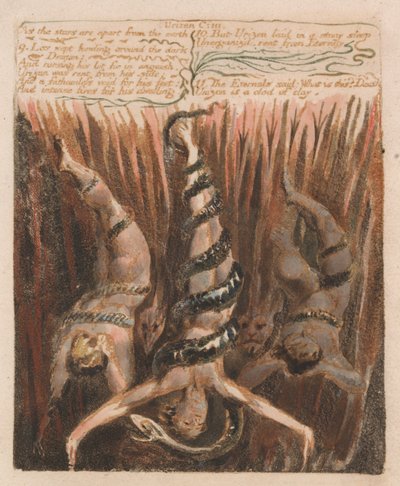 The First Book of Urizen, Plate 9 by William Blake